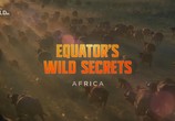 Сцена из фильма Необычная природа экватора / Equator's Wild Secrets (2019) Необычная природа экватора сцена 13