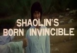 Сцена из фильма Рождённый непобедимым / Tai ji yuan gong (Born Invincible / Shaolin's Born Invincible) (1978) Рождённый непобедимым сцена 1