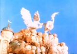Сцена из фильма Белая цапля (1987) Белая цапля сцена 3