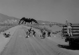 Сцена из фильма Тарантул / Tarantula (1955) Тарантул сцена 2