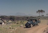 Сцена из фильма Сафари / Safari (1956) Сафари сцена 1