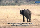 ТВ Воспоминания слона / Memoirs of an Elephant (2018) - cцена 9