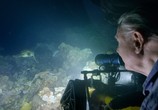 Сцена из фильма BBC. Большой Барьерный риф с Дэвидом Аттенборо / Great Barrier Reef with David Attenborough (2015) BBC. Большой Барьерный риф с Дэвидом Аттенборо сцена 4