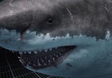 ТВ National Geographic: Доисторические хищники. Акула-чудовище / Prehistoric Predators. Monster Shark (2008) - cцена 3