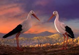 Сцена из фильма Трио в перьях / Richard the Stork (2017) 