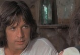 Сцена из фильма Четыре мухи на сером бархате / 4 mosche di velluto grigio (1971) Четыре мухи на сером бархате сцена 4