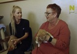 Сцена из фильма Спасители котят / The Kitten Rescuers (2017) Спасители котят сцена 4