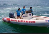 Сцена из фильма Спасатели Малибу / Malibu Rescue (2019) Спасатели Малибу сцена 1