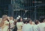 Фильм Переходный возраст (1981) - cцена 6