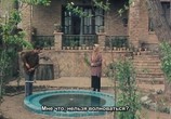 Фильм Ивовое дерево (Плакучая ива) / Beed-e majnoon (The Willow Tree) (2005) - cцена 2