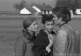 Сцена из фильма Тишина и крик / Csend és kiáltás (1968) Тишина и крик сцена 8