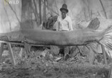 ТВ National Geographic : Рыбы-чудовища . Аллигаторова щука / Monster fish. Alligator gar (2010) - cцена 9