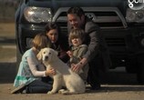 Сцена из фильма Приключения Бэйли: Потерянный щенок / Adventures of Bailey: The Lost Puppy (2010) 