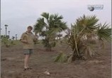 ТВ BBC: Искусство выживания Рэя Мирса.Устье реки Ориноко / BBC: Rey Mears Bushcraft (2005) - cцена 4