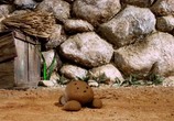 Сцена из фильма Собачья Какашка / Doggy Poo (2004) Собачья Какашка сцена 3