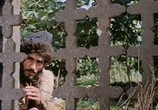 Сцена из фильма Приключения Алибабы и 40 разбойников / Alibaba Aur 40 Chor (1979) Приключения Алибабы и 40 разбойников сцена 3