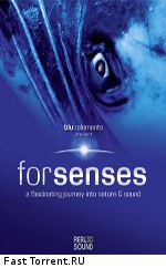 Для Чувств / Forsenses (2009)