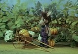 Сцена из фильма Мечта маленького ослика (1984) 