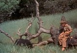 Сцена из фильма Старый Брехун / Old Yeller (1957) Старый Брехун сцена 4