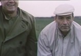Сцена из фильма Год теленка (1986) Год теленка сцена 5