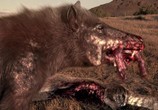 Сцена из фильма National Geographic: Доисторические хищники. Адский кабан / Prehistoric Predators. Killer Pig (2008) National Geographic: Доисторические хищники. Адский кабан сцена 12