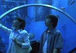 Сцена из фильма Синий свет / Ao no hono-o (2003) Синий свет сцена 3