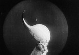 Сцена из фильма Золотой Век / L' Age D'or (1930) Золотой Век сцена 7