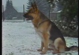 ТВ Сторож с холодным носом: Немецкая овчарка / Wachter mit der kalten Schnauze: Der deutsche Schaferhund (1991) - cцена 2