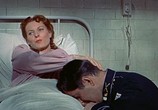 Сцена из фильма Длинная серая линия / The Long Gray Line (1955) Длинная серая линия сцена 11