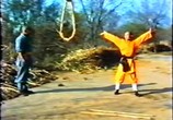 Сцена из фильма Тайное боевое искусство Шаолиня / Shao Lin zhen gong fu (1994) Шаолиньское кунг-фу
