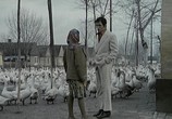 Сцена из фильма Скупщики перьев / Skupljaci perja (1967) Скупщики перьев сцена 10