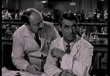 Сцена из фильма Обезьяньи проделки / Monkey Business (1952) Обезьяньи проделки сцена 2