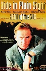 Heat of the Sun