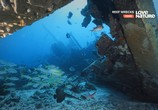 Сцена из фильма Корабельные рифы / Reef Wrecks (2016) Корабельные рифы сцена 1