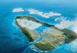 Сцена из фильма Альдабра. Путешествие к таинственному острову / Aldabra. Once Upon an Island (2015) Альдабра. Путешествие к таинственному острову сцена 1