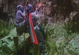 Сцена из фильма Секрет Ниндзя / Justice Of The Ninja (1982) Секрет Ниндзя сцена 3