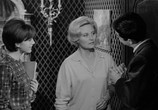 Сцена из фильма Колодец трёх истин / Le puits aux trois vérités (1961) Колодец трёх истин сцена 8