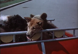 Сцена из фильма Весёлые истории (1962) 