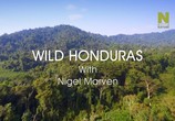 ТВ Дикая Центральная Америка с Найджелом Марвеном / Nigel Marven's Wild Central America (2018) - cцена 4