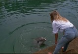 Сцена из фильма Кровавая акула / Shark: Rosso nell'oceano (1984) Кровавая акула сцена 1