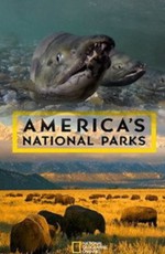 Национальные парки Америки. Арктические врата