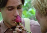 Сцена из фильма Дикий цветок / Wildflower (1991) Дикий цветок сцена 5