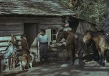Сцена из фильма Лэсси в разрисованных холмах / Lassie The Painted Hills (1951) Лесси в разрисованных холмах сцена 5