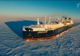 Сцена из фильма Арктика. Выбор смелых (2017) Арктика. Выбор смелых сцена 2