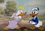 Сцена из фильма Сокровища анимации: Дональд Дак (1929-1949) / Treasures of animation: Donald Dack (1929) 