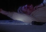 Сцена из фильма Убийца / The Slayer (1982) Убийца сцена 6