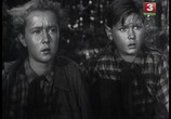 Сцена из фильма Дети партизана (1954) Дети партизана сцена 10