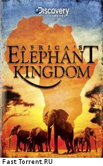 Discovery: Африка - королевство слонов