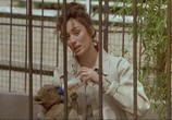 Сцена из фильма Головой об стену / Droit dans le mur (1997) Головой об стену сцена 15