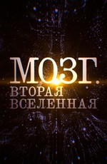 Мозг. Вторая Вселенная